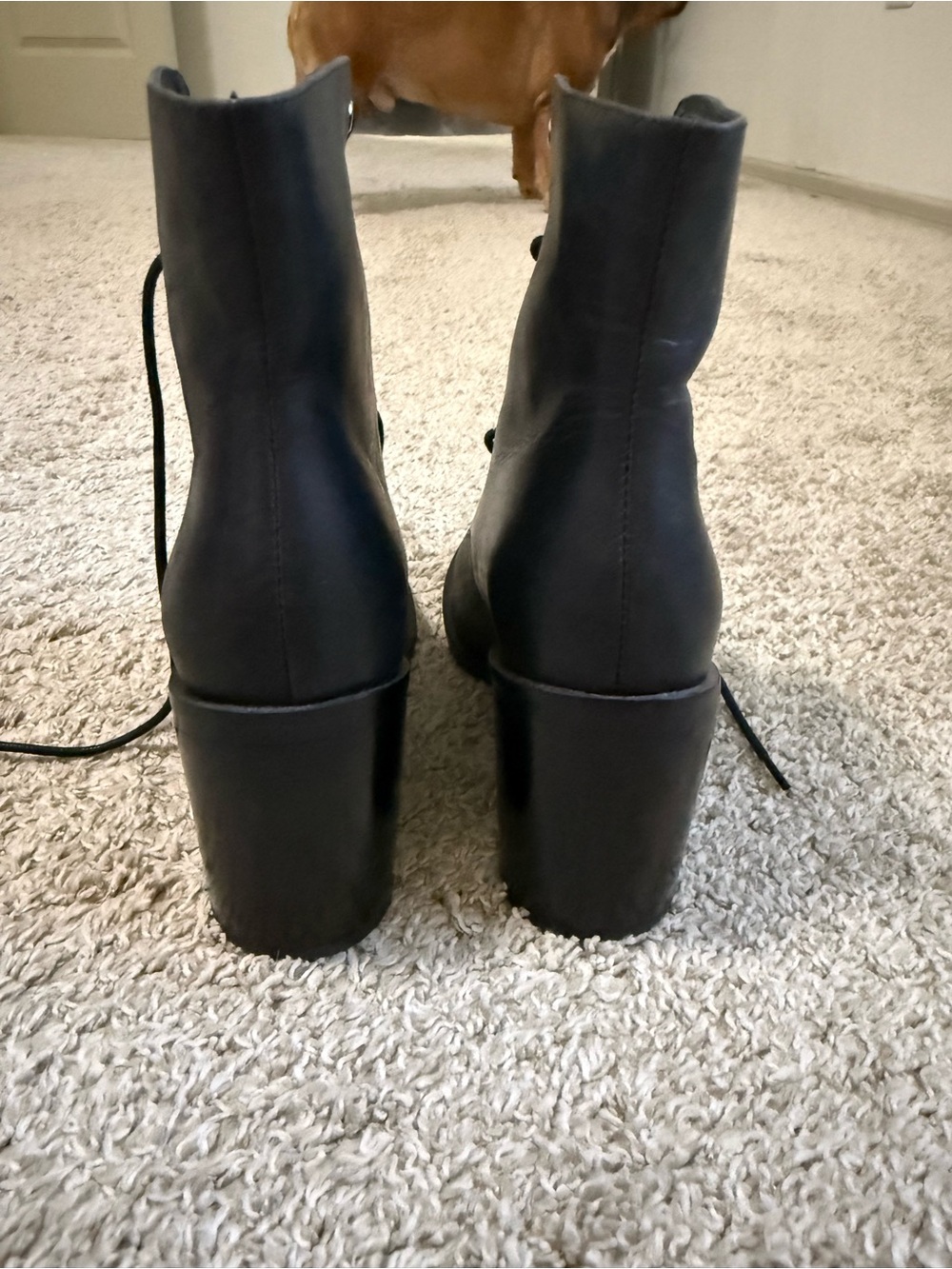 Jeffrey Campbell Black Lace-Up Block Heel Ankle Boots - Picture 3 of 5